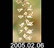2005.02.06