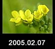 2005.02.07