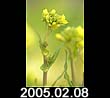 2005.02.08