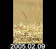 2005.02.09