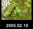 2005.02.10