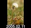 2005.02.11