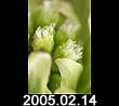 2005.02.14