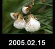 2005.02.15