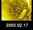 2005.02.17