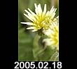 2005.02.18
