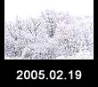 2005.02.19