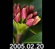 2005.02.20
