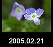 2005.02.21