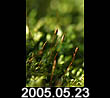 2005.02.23