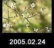 2005.02.24