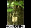 2005.02.26