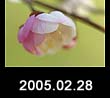 2005.02.27