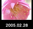 2005.02.28