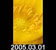 2005.03.01