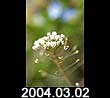 2005.03.02
