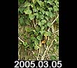 2005.03.05