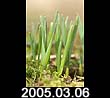 2005.03.06