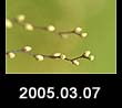 2005.03.07