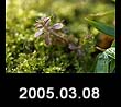 2005.03.08