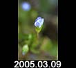 2005.03.09