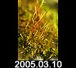 2005.03.10