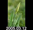 2005.03.12