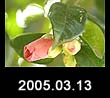 2005.03.13