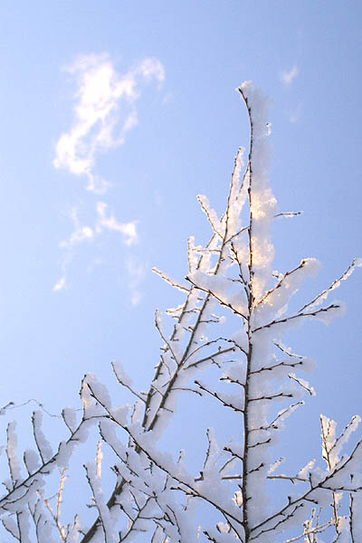 2003.01.02 - A