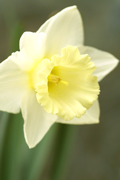 2003.03.29