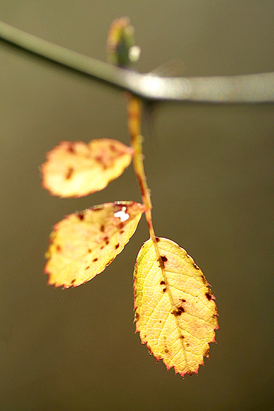 2004.02.12