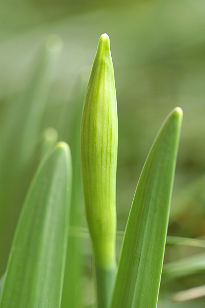 2004.03.12