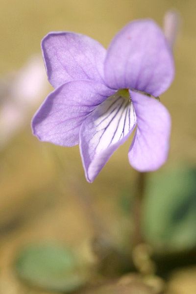 2004.03.13