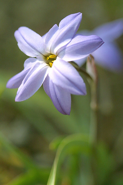 2004.03.24