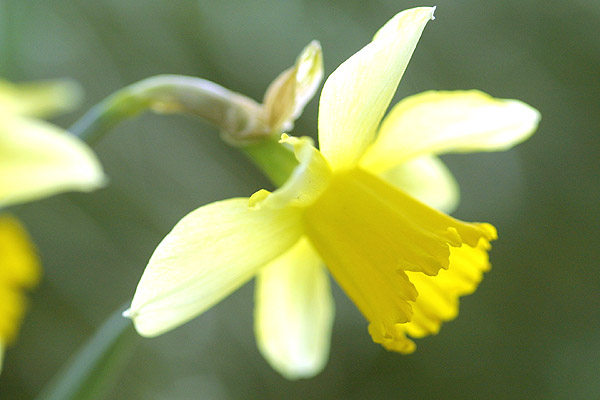 2004.03.30