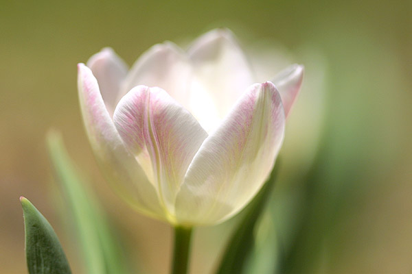 2004.04.11
