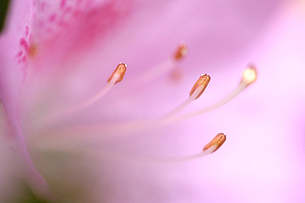 2004.06.10
