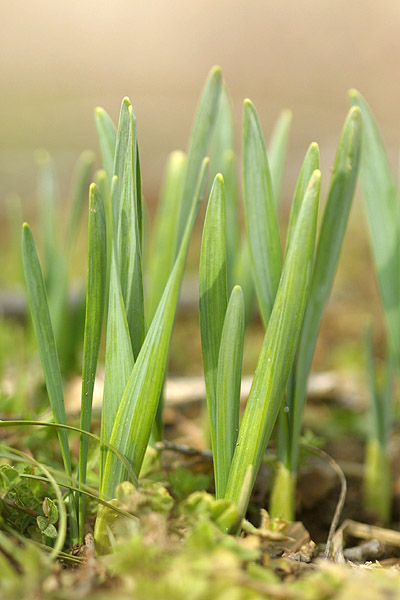 2005.03.06