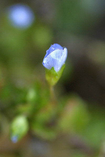 2005.03.09