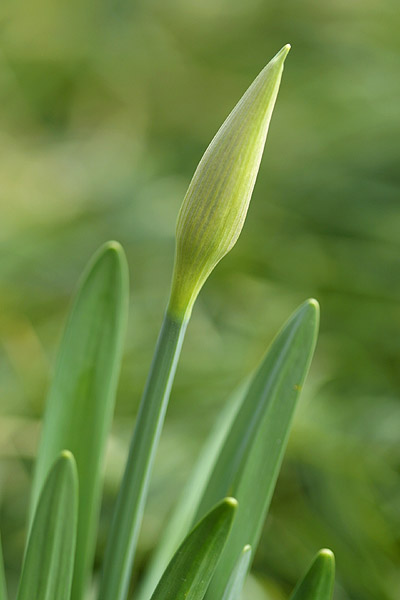 2005.03.12