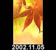 2002.11.05