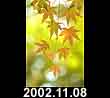 2002.11.08