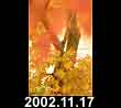 2002.11.17