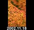 2002.11.18