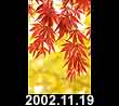 2002.11.19