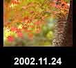 2002.11.24