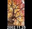 2002.11.25
