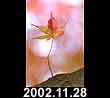 2002.11.28
