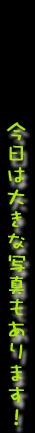 ͍𑜓xTv܂I