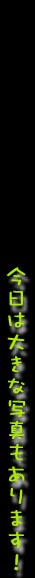 𑜓x摜܂I(NbN)